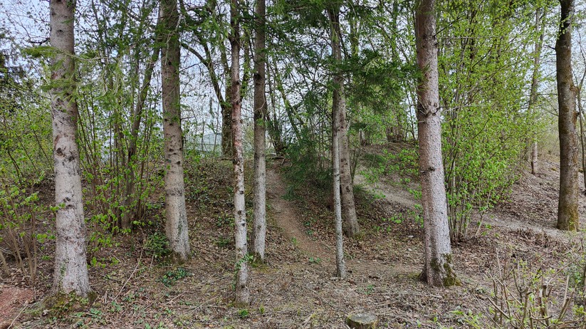 Realme GT 2 Pro - Originalaufnahmen 