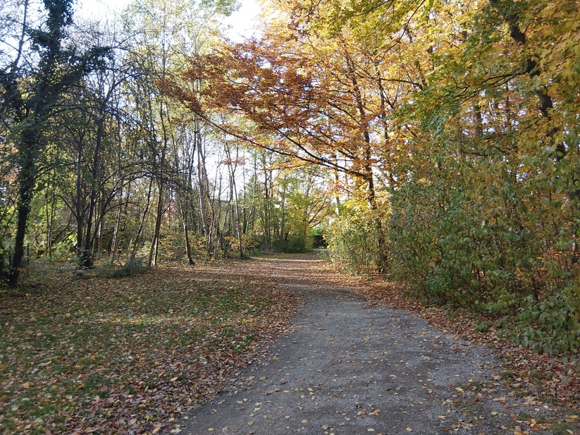 Samsung Galaxy Xcover 7 Pro – Originalaufnahmen