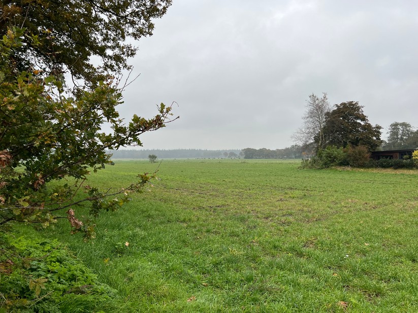 Außenaufnahme Smartphone A