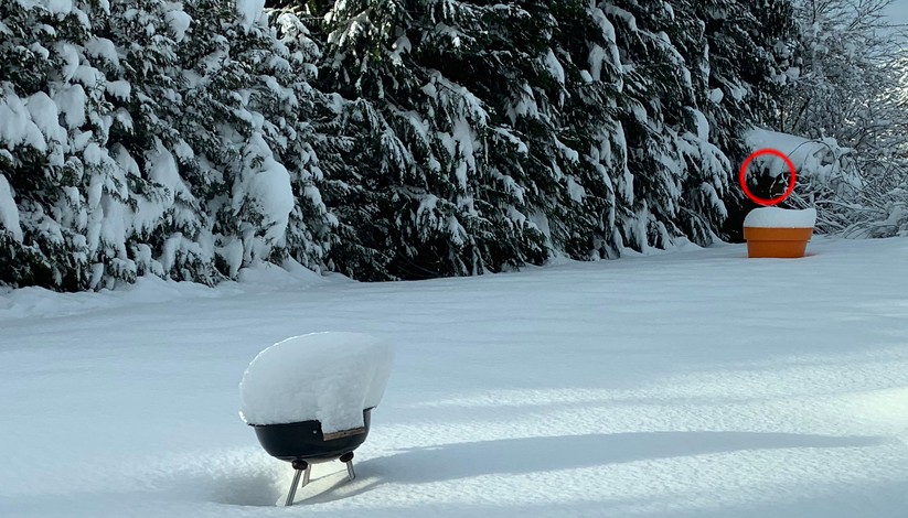 Unter dem roten Kringel befindet sich das Solarpanel – es war im Winter wochenlang ununterbrochen von Schnee bedeckt. Die Kamera hat dennoch durchgehend funktioniert.
