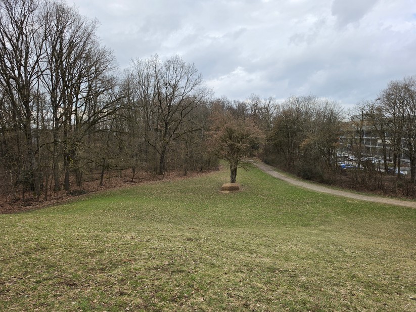 Samsung Galaxy S26 Ultra - Originalaufnahmen