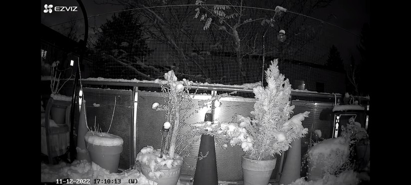 Ezviz EB3: Die Nachtaufnahme in Schwarz-Weiß sind scharf und detailreich.