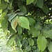 Testfoto geschossen mit einem HTC Wildfire S | BestBoyZ