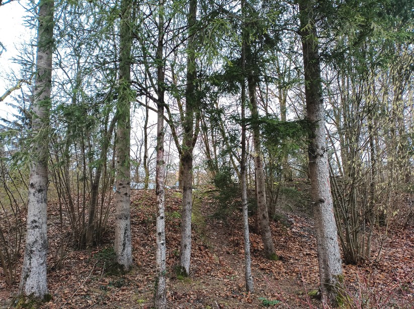 Gigaset GX4 - Originalaufnahmen