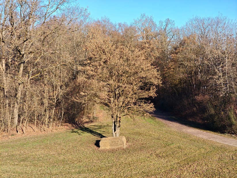 Poco F8 Pro - Originalaufnahmen 