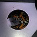 Testfoto geschossen mit einem HTC Sensation XE | BestBoyZ