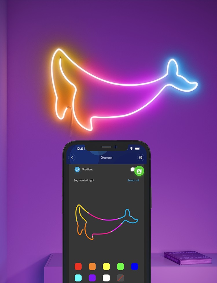 Govee Neon Rope Light 2 