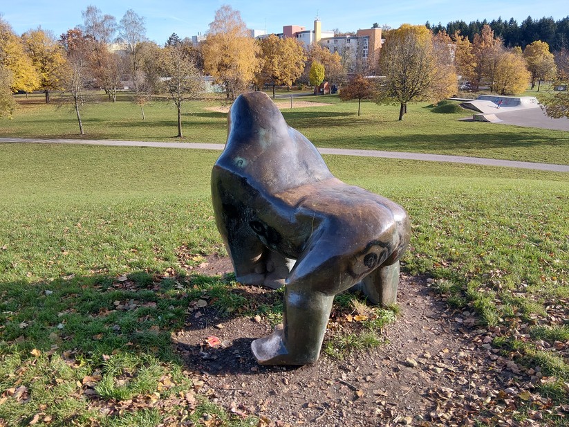 Samsung Galaxy Xcover 7 Pro – Originalaufnahmen