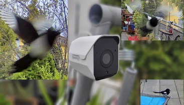 Synology BC500 im Test: Perfekte Überwachungskamera für die