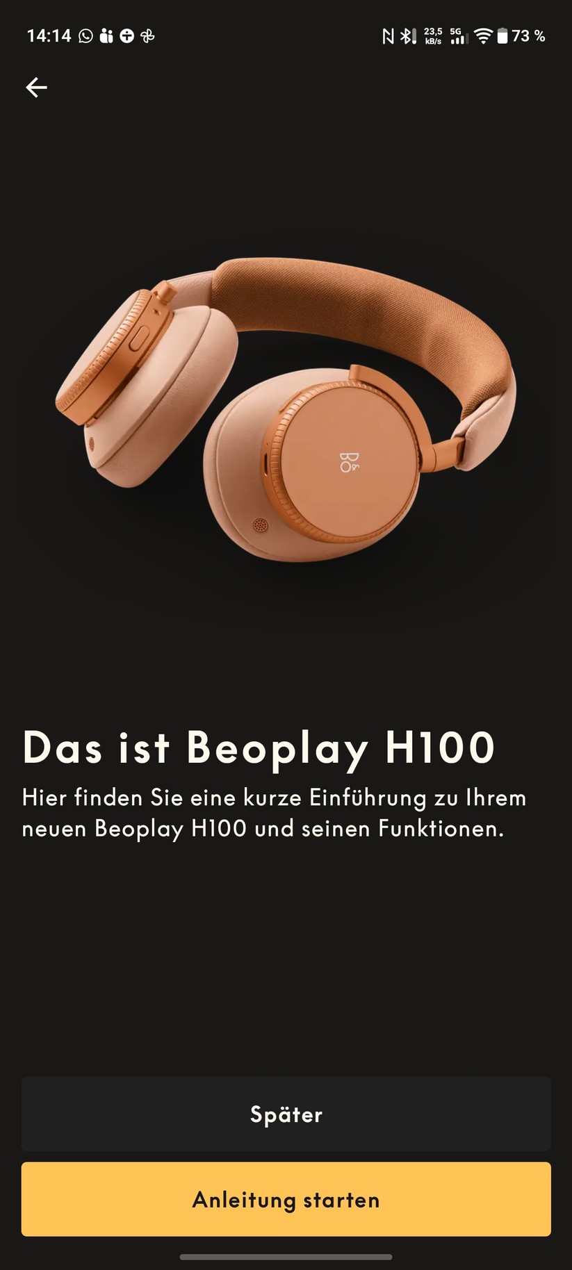 Bang & Olufsen Beoplay H100 Screenshot