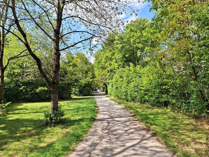 Samsung Galaxy A54 - Originalaufnahmen 