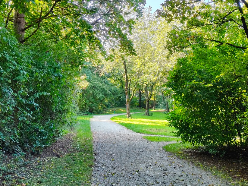 Realme 14 Pro+ 5G - Originalaufnahmen