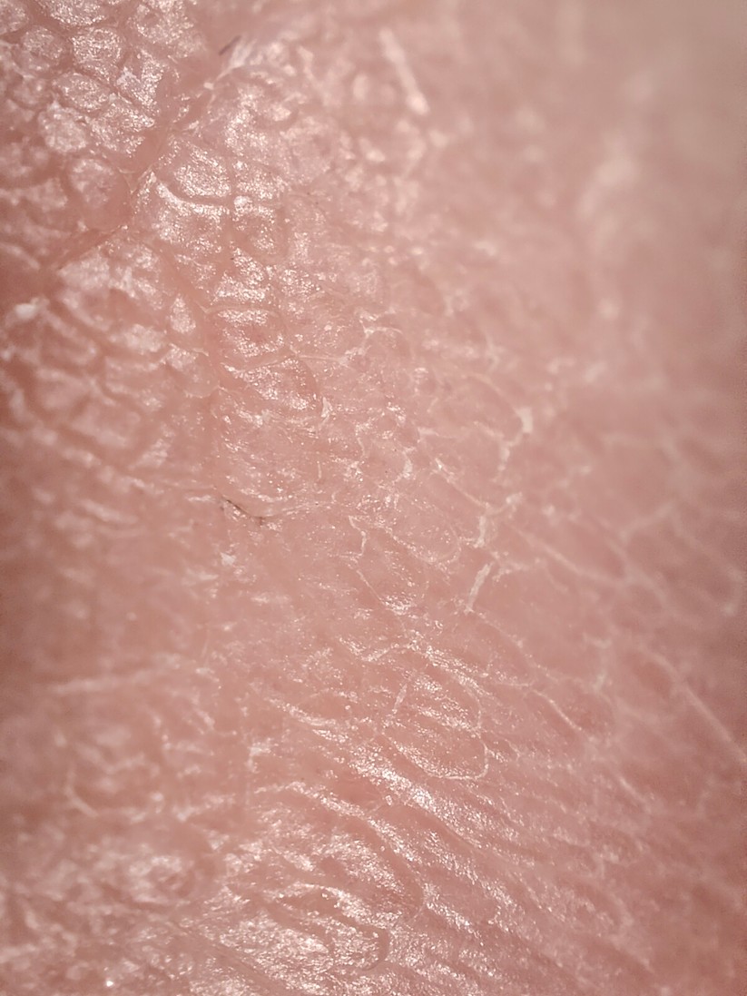 Realme GT 2 Pro - Originalaufnahmen 