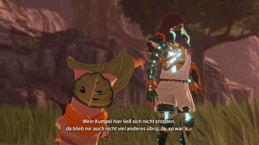 Hyrule Warriors Chronik der Versiegelung