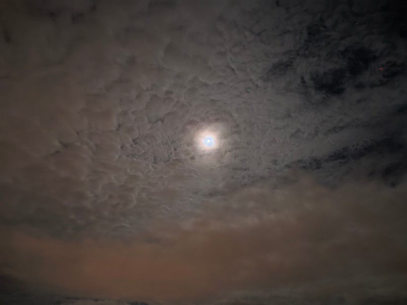 Poco F8 Pro - Originalaufnahmen 