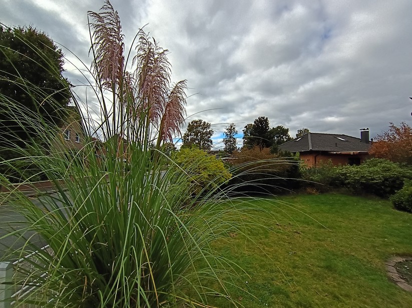 Motorola Moto G56 5G – Originalaufnahmen