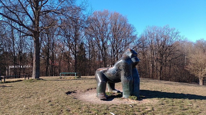 Nokia G21: Originalaufnahmen