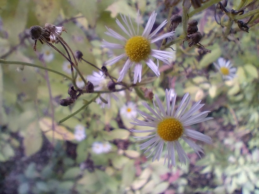 AGM Glory G1S - Originalaufnahmen