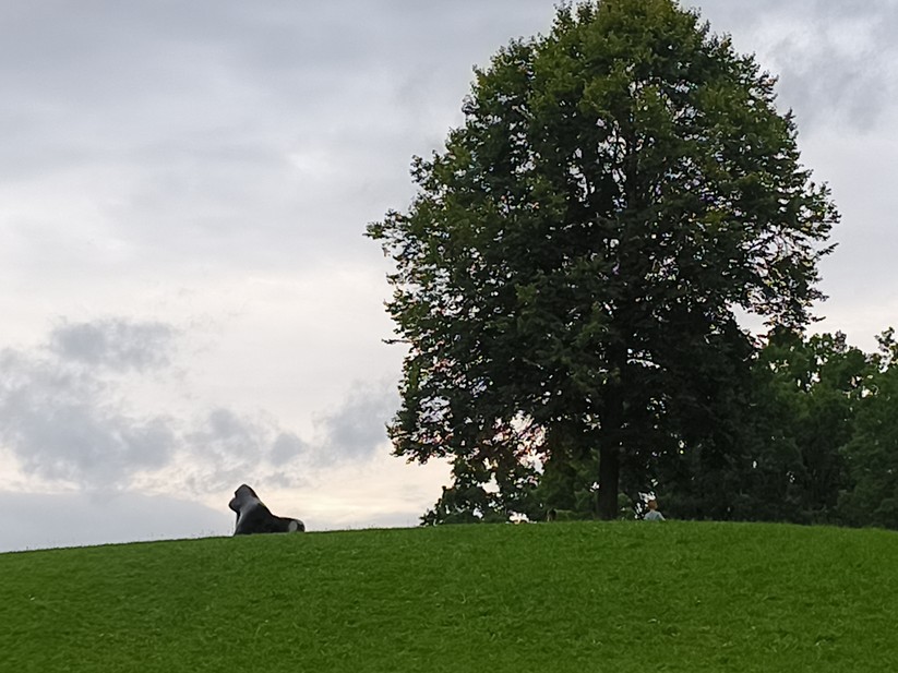 Ulefone Armor 34 Pro - Originalaufnahmen