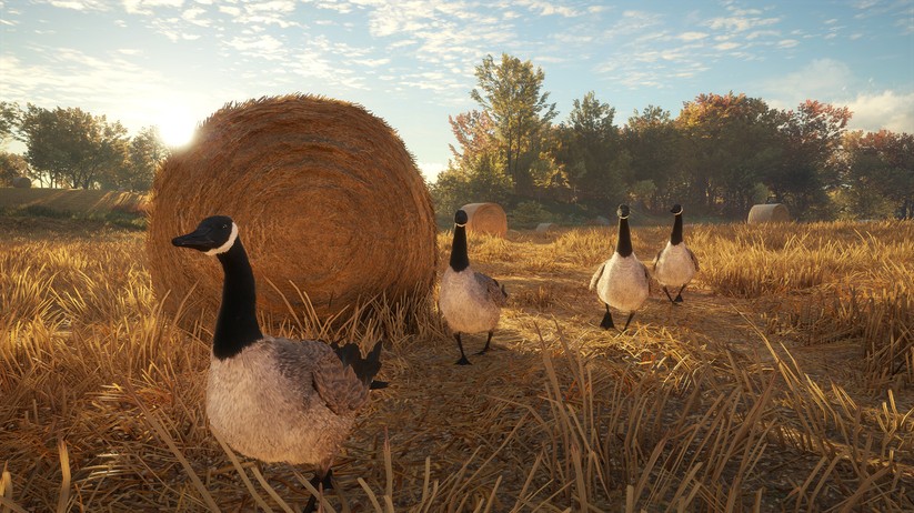theHunter