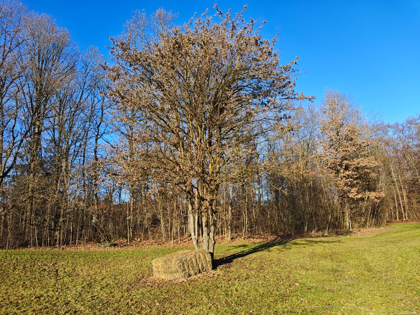 Poco F8 Pro - Originalaufnahmen 