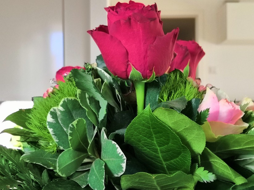 Aufnahme bei Tageslicht mit optischem Zoom