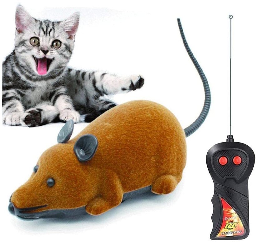 rcmaus