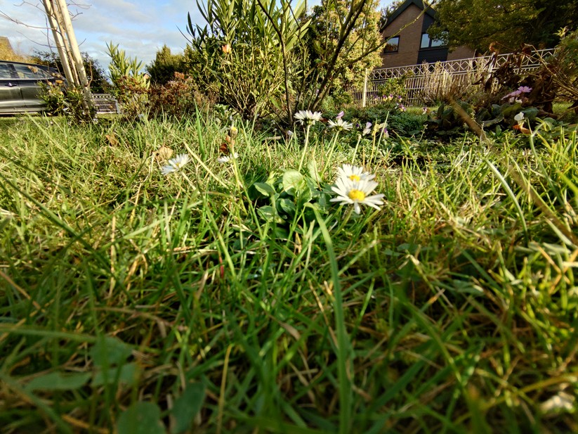 Sony Xperia 10 VII - Originalaufnahmen