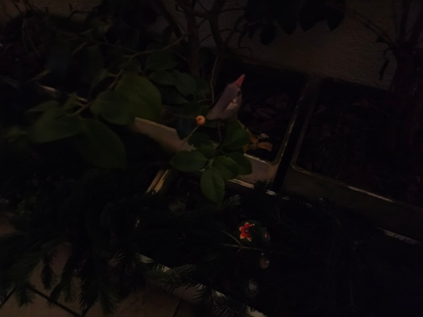 Xiaomi 15T - Originalaufnahmen