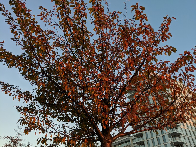 Aufnahme bei Dämmerung