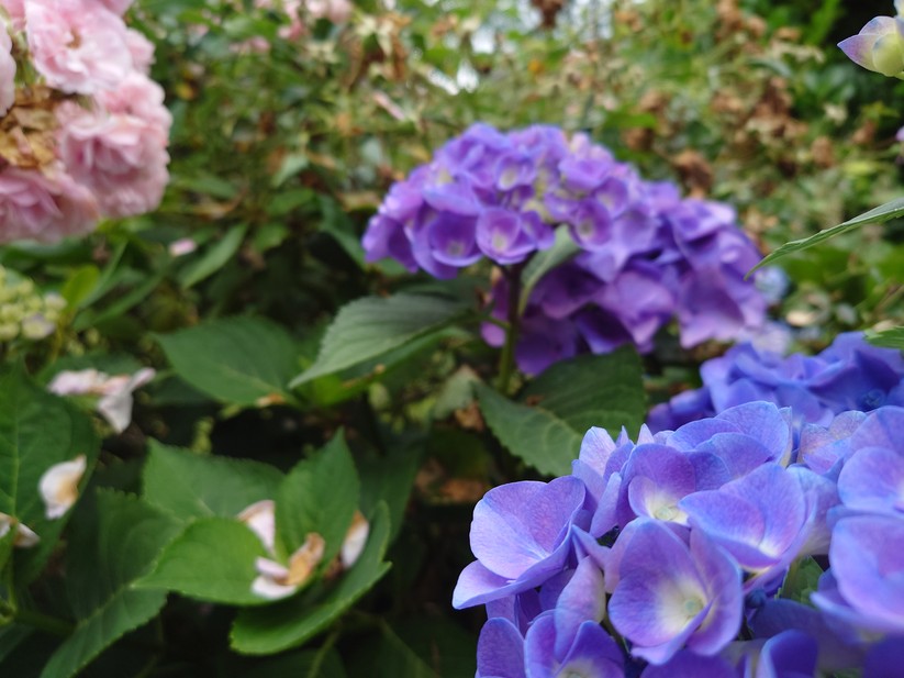 Sony Xperia 1 IV