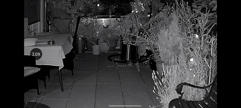 Ezviz C8W Pro 2K: Netzwerkwechsel, Einstellungen, Aufnahmen, Nachtsicht