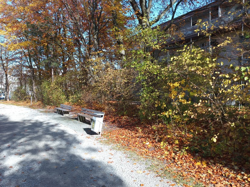 Oukitel WP60 - Originalaufnahmen