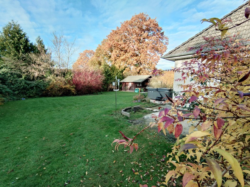 Sony Xperia 10 VII - Originalaufnahmen