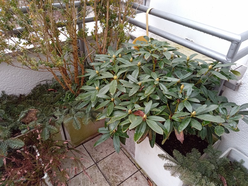 Fotos mit dem Lenovo Tab M8 