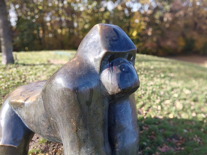 Samsung Galaxy Xcover 7 Pro – Originalaufnahmen