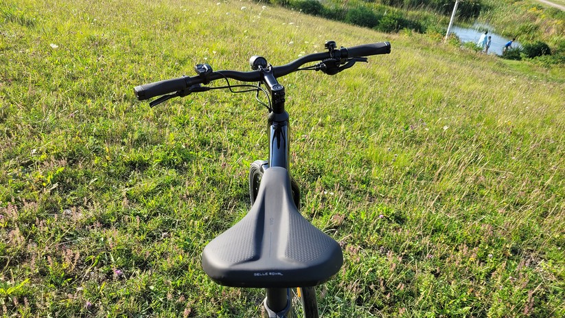 Diamant 365: Leicht, gut verarbeitet, 9-Gang-Schaltung, begrenzte Reichweite