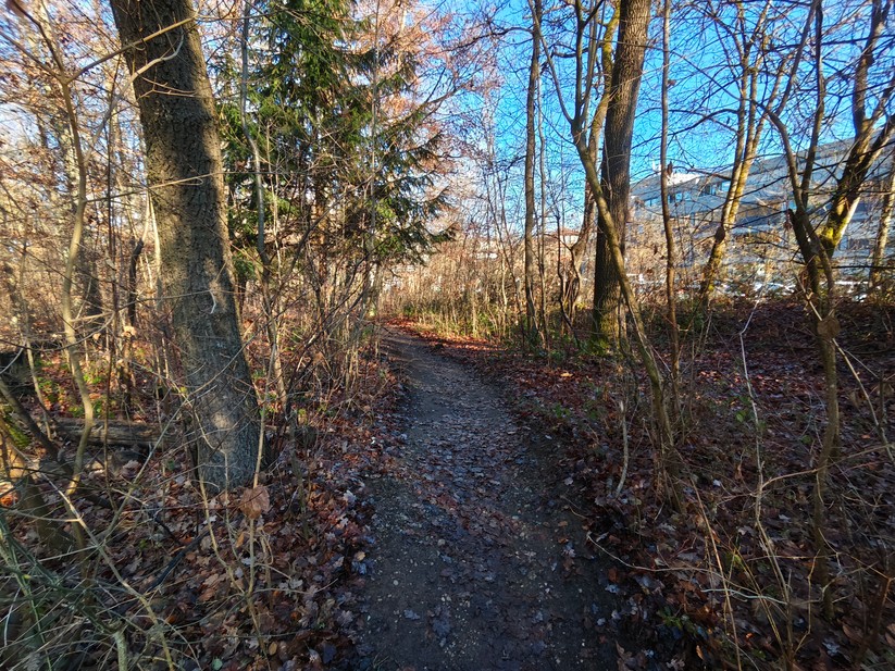 Poco F8 Pro - Originalaufnahmen 