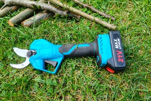 Panthem Astschere für Makita-Akkus im Test: starkes Gartengerät für Mutige