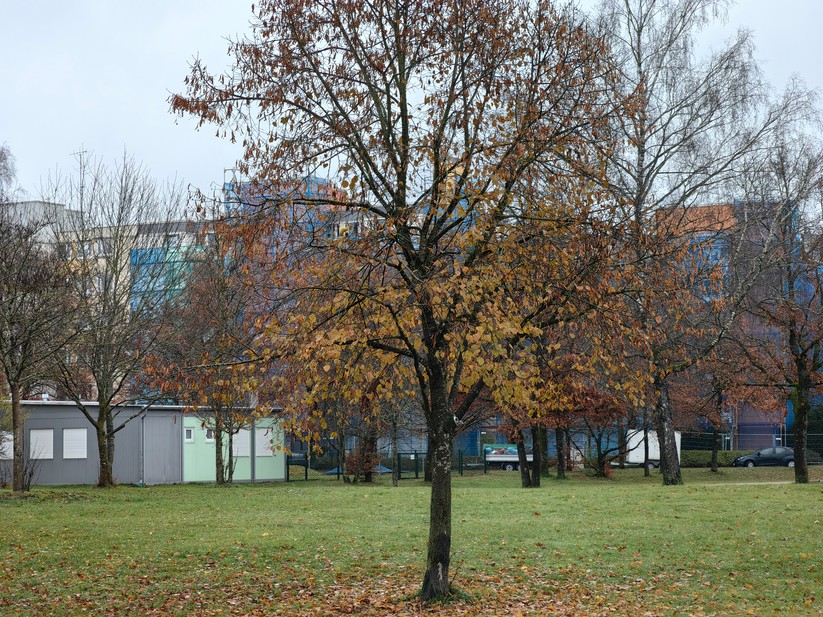 Huawei Mate 50 Pro - Originalaufnahmen