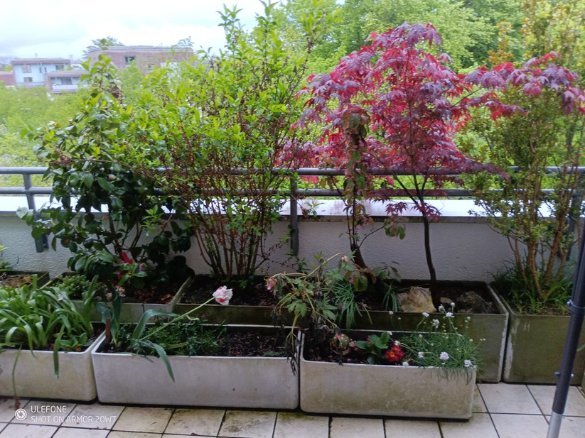 Ulfeone Armor 20WT - Originalaufnahmen