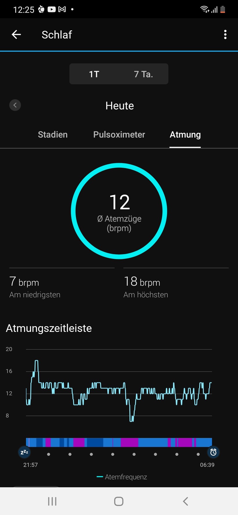 Garmin Connect Lily 