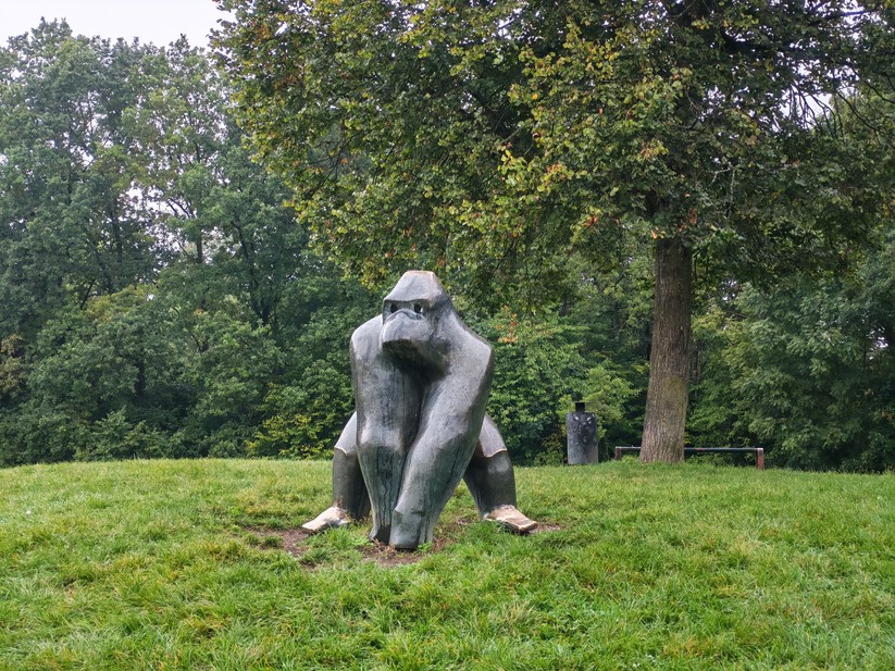 Honor 400 - Originalaufnahmen