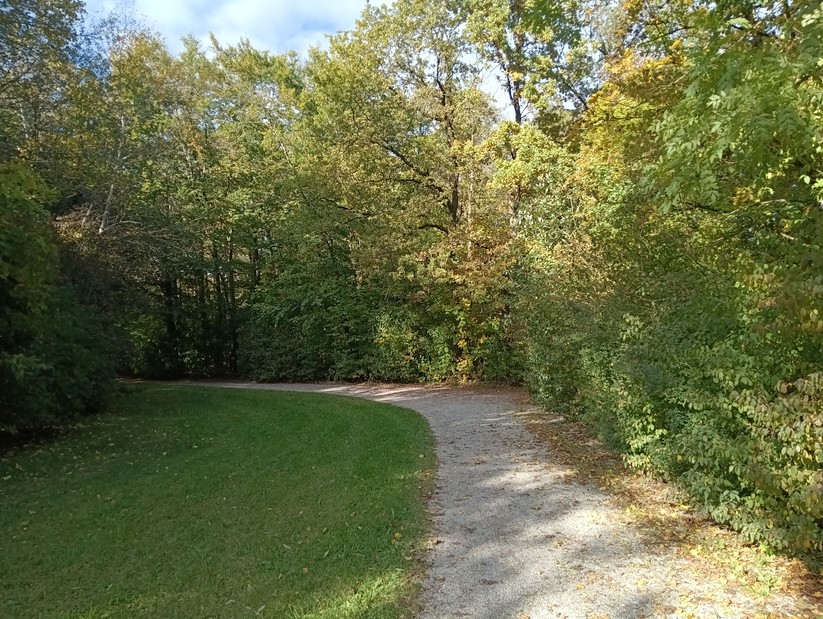 Cat S75 - Originalaufnahmen