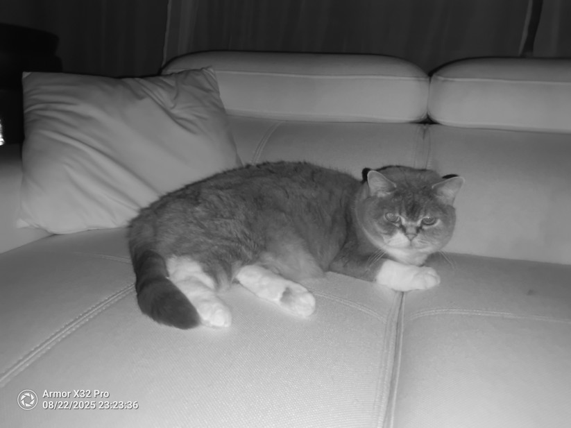 Ulefone Armor X32 Pro - Originalaufnahmen