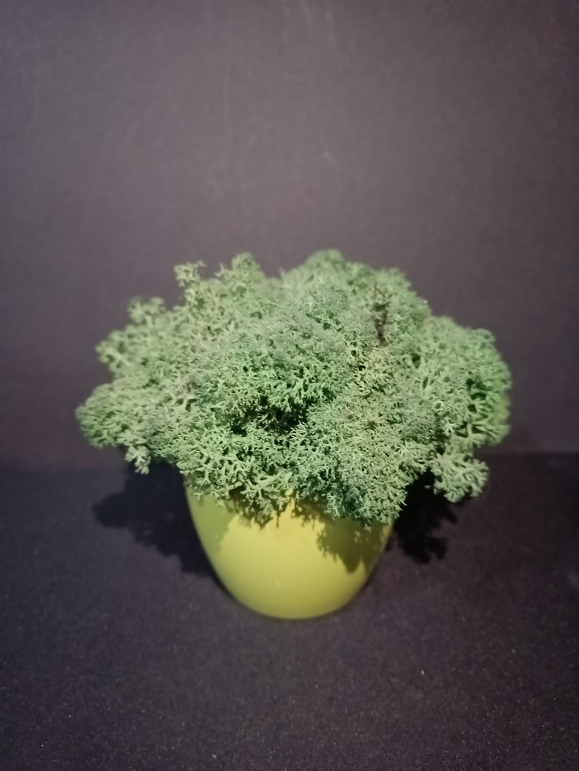 Fossibot F102 - Originalaufnahmen