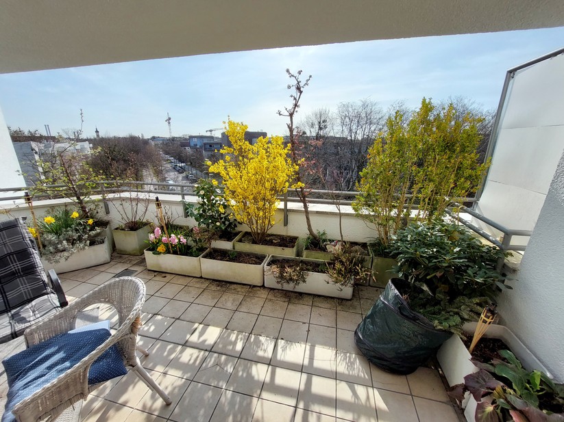 Mit dem Samsung Galaxy A52 geschossene Fotos