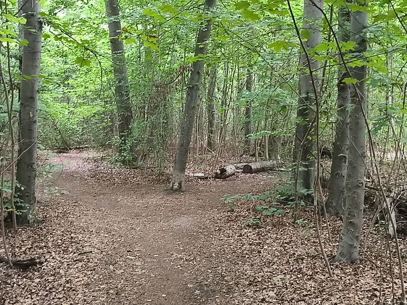 Ulefone Armor 34 Pro - Originalaufnahmen