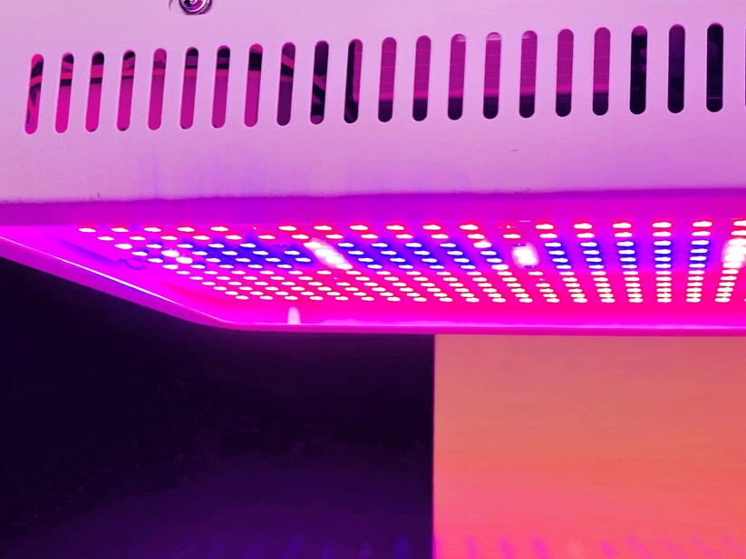Viel Power, wenig Beschleunigung beim Wachstum: Eine kleinere Vollspektrum-LED mit 7 Watt reicht für einen Indoor-Garten vollkommen.