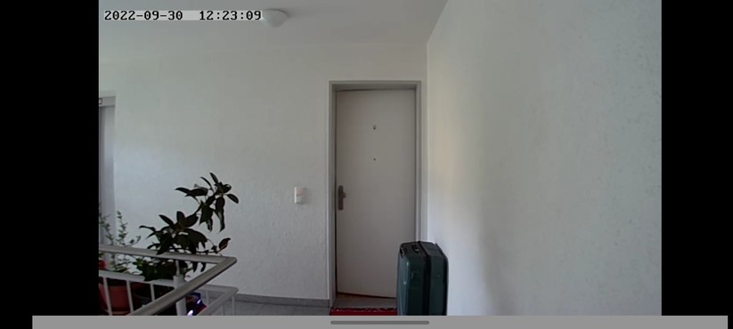 Digitaler Türspion Tmezon MZ-DV11 wird über die Tuya-App gesteuert.